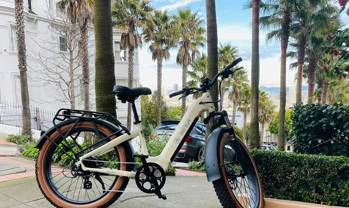 Guided E Bike Tour in San Francisco
