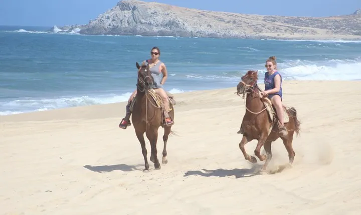 Cabo White Sand Horseback Riding Tour and Tequila Tasting 