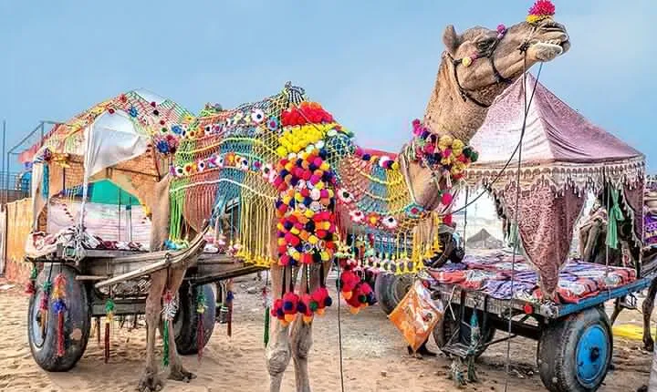 Private Same Day Trip to Pushkar from Jaipur