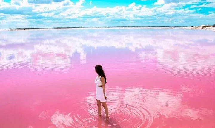 Explore Las Coloradas & Rio Lagartos, Full Day only from Tulum