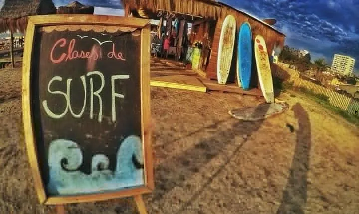 Surfing, Sandboarding & wild Sea lions + Chilean drinks & food