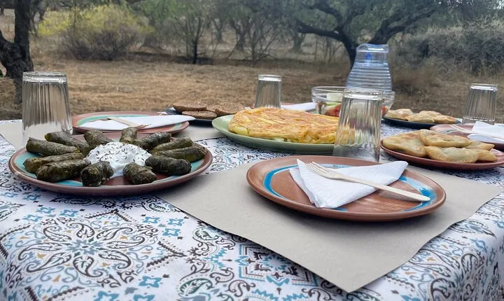 Heraklion:Olive & Dragon Fruit Farm Tour & Cretan Farmers Brunch