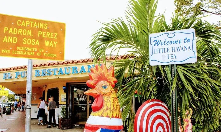 Private Miami City Tour and Shared Boat Tour Combo