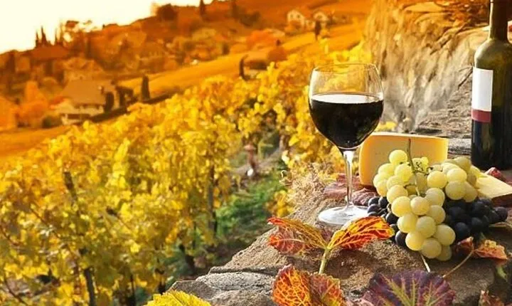 Chianti Private Tour with Dinner and Wine Tasting Experience