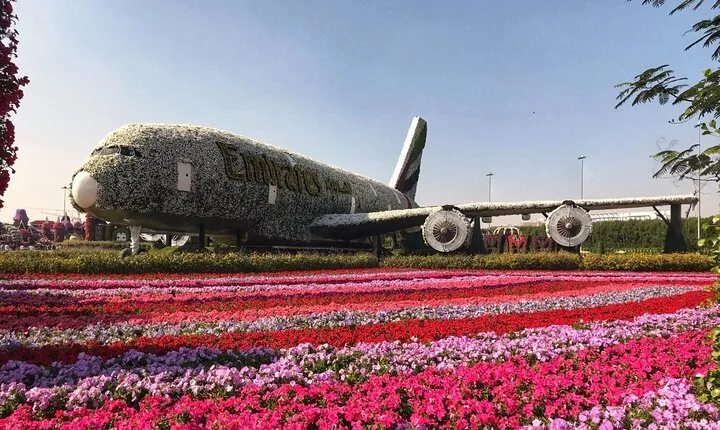 Dubai Miracle Garden Entry Ticket