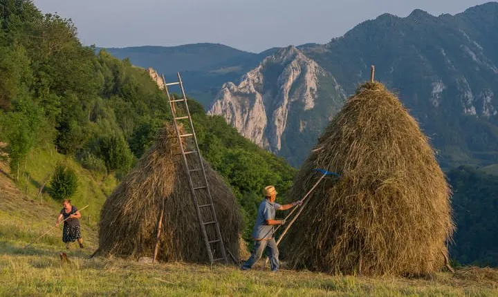 Local experience from Brasov - Transylvanian villages and Bran Castle
