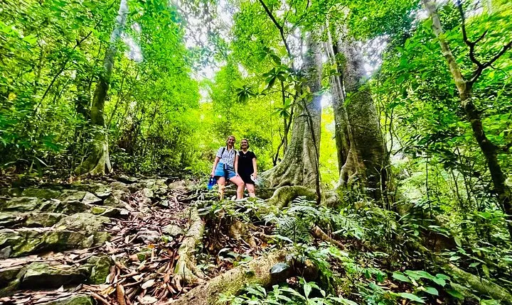 Full day hiking in Jungle of Cat Ba National park