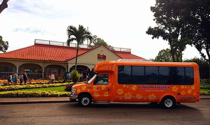 Majestic Circle Island Tour with Lunch