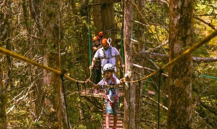 Arborismo in Horto Florestal - Campos Do Jordão