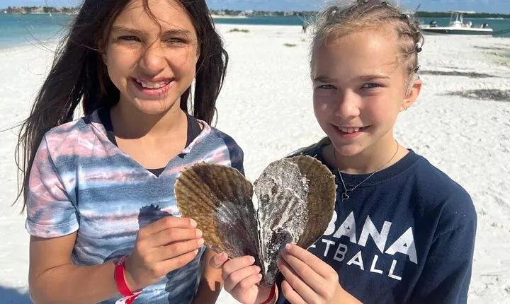 Barrier Island Shelling Tour