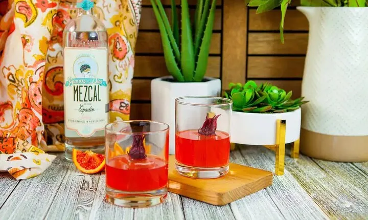 Artisanal Mezcal Tasting and Mixology Class