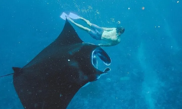 From Bali: Nusa Penida Snorkeling and Island Tour