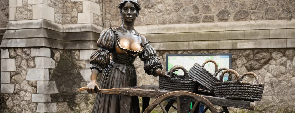 Private Dublin tour - hidden gems and main attractions with a local