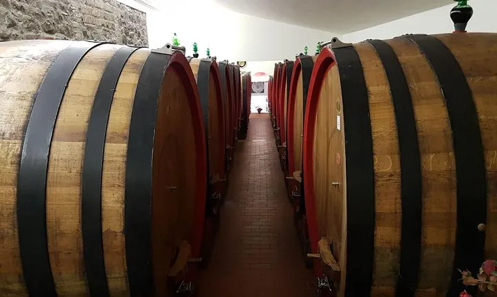 Degustazione di vini a Montepulciano, visitando Siena, in Toscana da Firenze