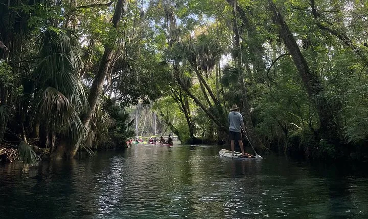 Guided Clear Kayak Tours on the Silver River