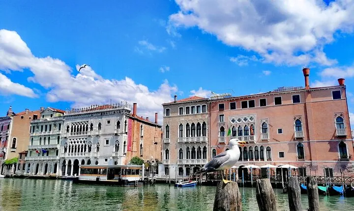 Fish Shopping in Rialto and Home Cooking in Murano