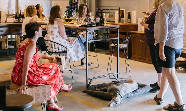 Barossa Wine Tasting shared tours