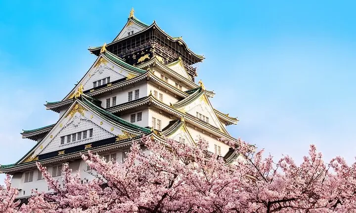 Osaka Castle Entry Ticket