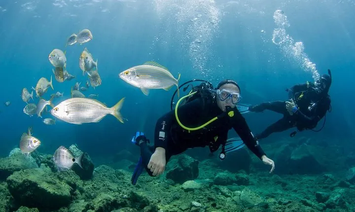 Discover Scuba Diving in Puerto de Mogan