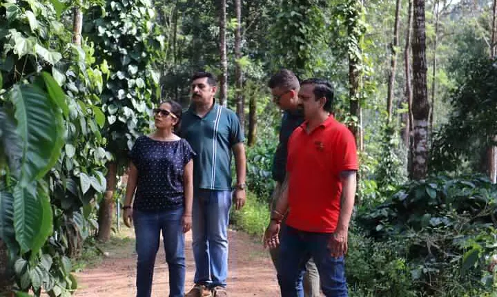 Mercara Gold Coorg Coffee and Spice Estate Tour