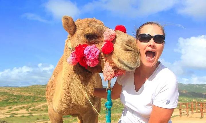 Combo Tour: Crystal Clear Boat and Camel Ride & Encounter