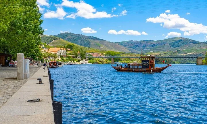 Private tour from Porto to Duoro Valley (Peso da Regua & Pinhao)