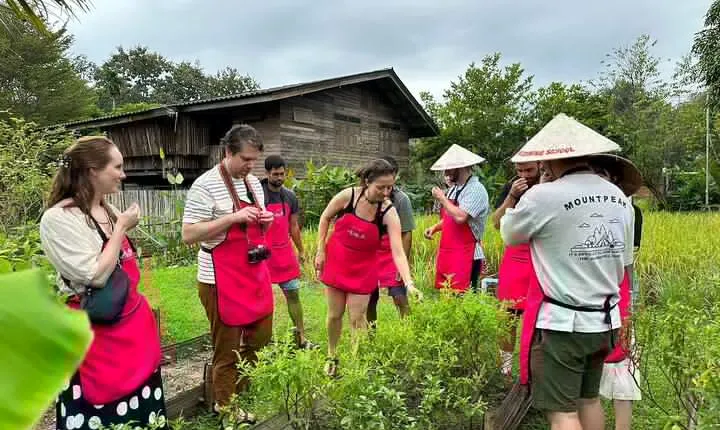 Cooking Class with Organic Farm in Chiang Mai