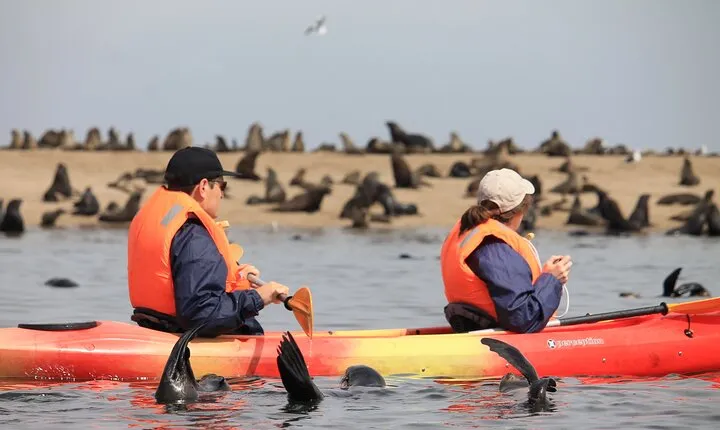 Half Day Original Seal Kayak Adventure, Pelican Point, Walvis Bay