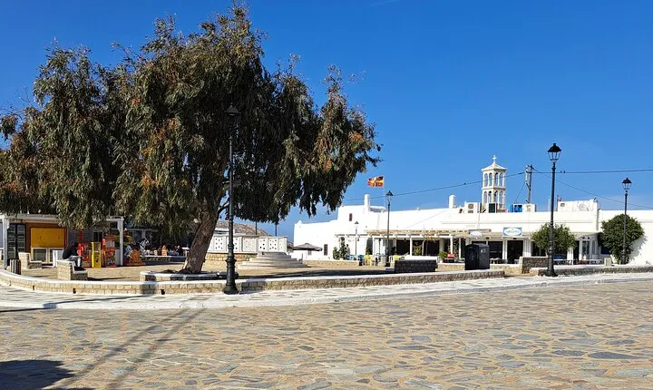 Mykonos island tour in small group up to 11 people.