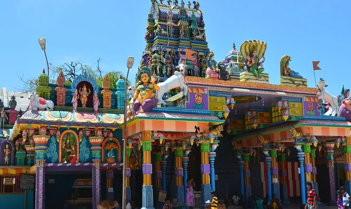 Delft & Nagadeepa Islands: Private Full-Day Escape from Jaffna