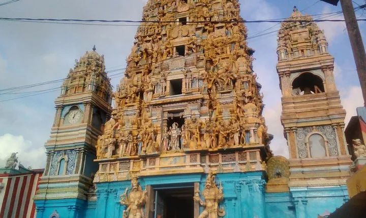 Privet Full-day Sightseeing Tour of Colombo