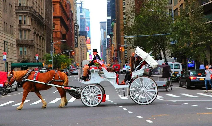 NYC Horse Carriage Ride in Central Park (50 Min. Up to 4 Adults)