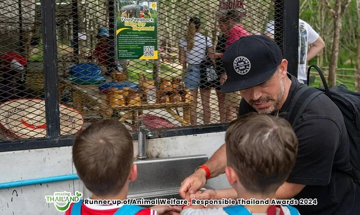 Evening Guide Tour to Khaolak Elephant Sanctuary Free 1 Cocktail