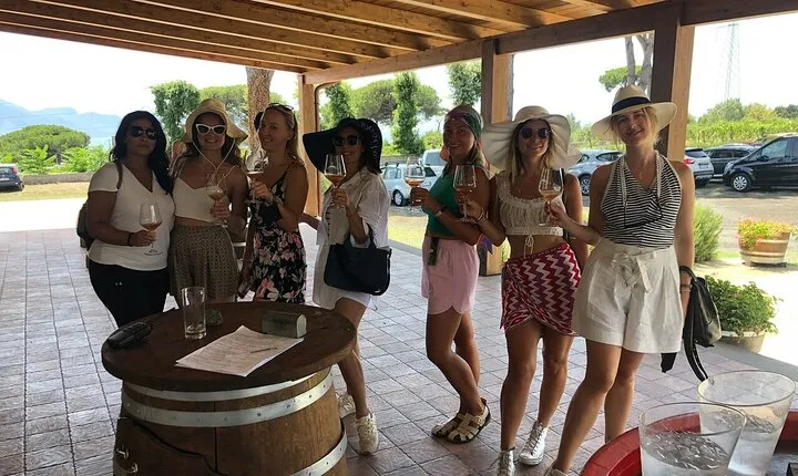 Pompeii, Herculaneum & Wine Tour, with Licensed Guide included