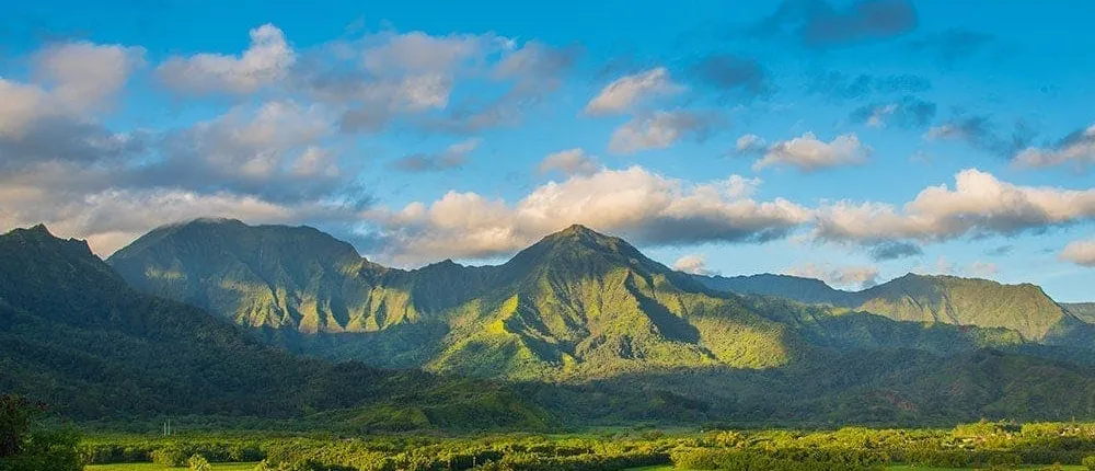 Kauai Highlights and Movie Locations Tour