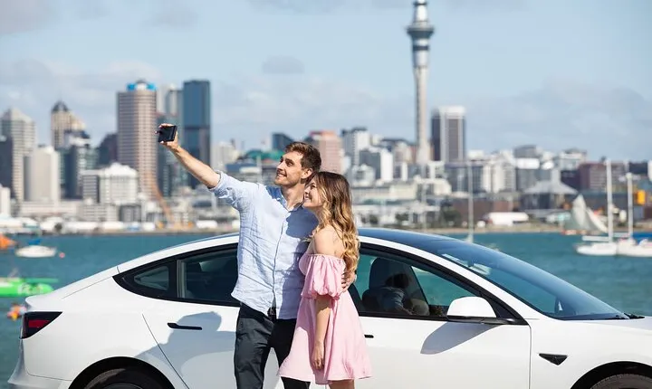GoGuided Auckland City Tour (Car/Van)