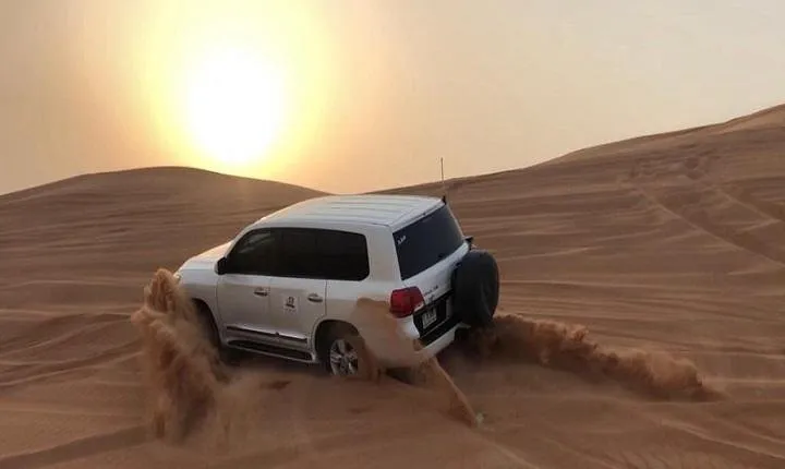 Premium Sundowner Red Dunes & Camel Safari with BBQ Dinner