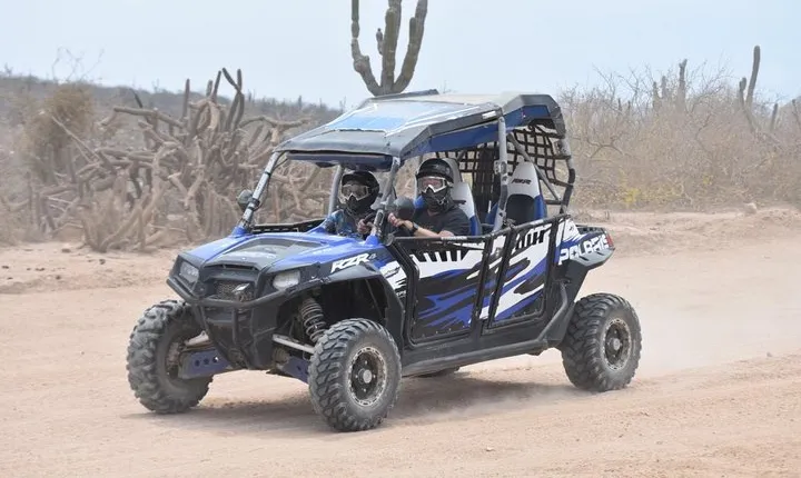 Razors in Cabo San Lucas