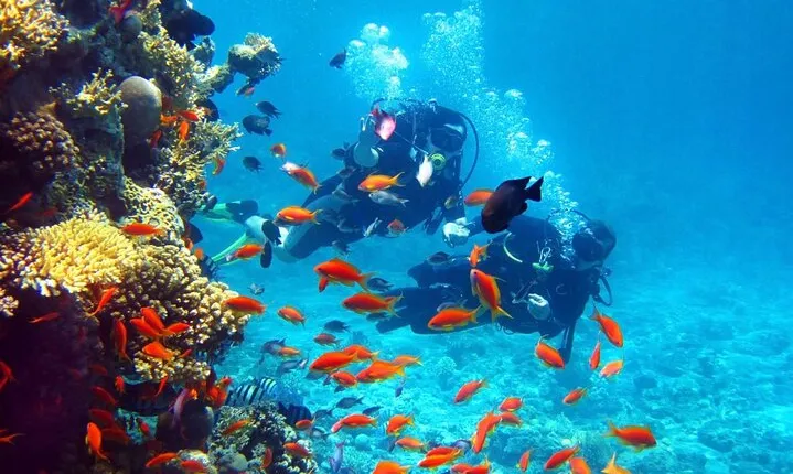 From Luxor: Hurghada 2-Day Tour with Snorkeling and Safari Tour