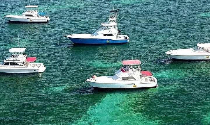 Half Day Deep Sea Fishing Tour from Punta Cana