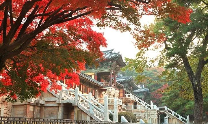 Gyeongju ONE-DAY Highlights for PRIVATE CRUISE PASSENGER'S