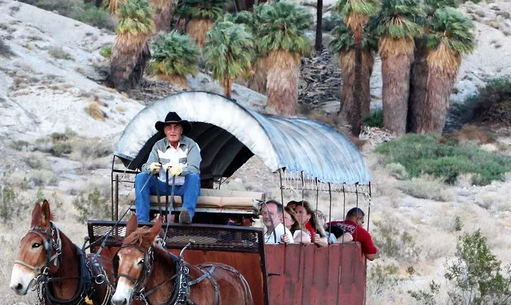 Covered Wagon Adventure & BBQ