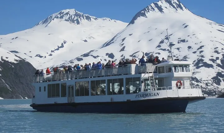 Portage Glacier Cruise and Wildlife Explorer Tour