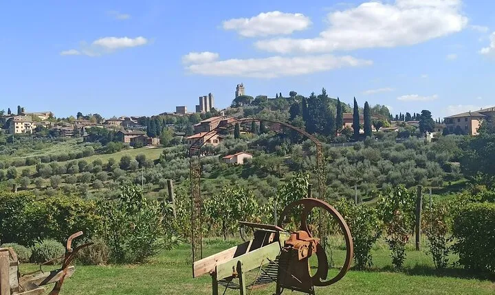 HALF-DAY: Chianti Classic Tour with Wine Experience & visit of San Gimignano