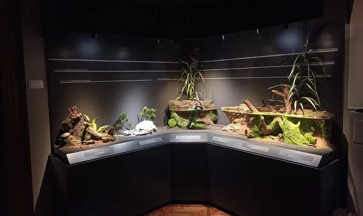 Amphibians and Reptiles Discovery Tour in Bosnia and Herzegovina