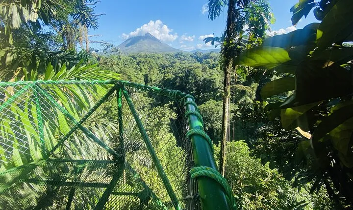 Three hours walking tour around the deep Tropical Rain Forest