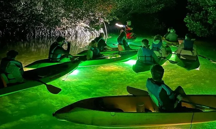 Sharkeys Glass Bottom Fish Feeding LED Night Tour Key West