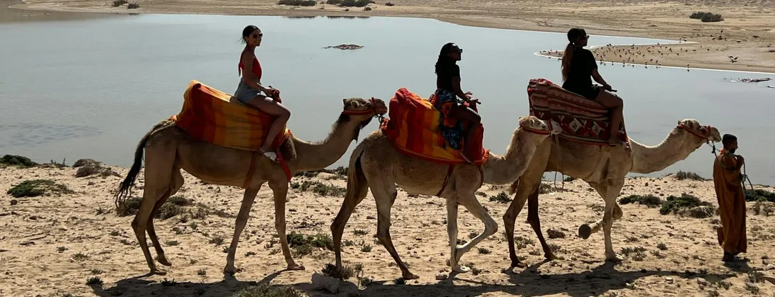 Camel Riding and Moroccan Tea on Tamri Beach from Agadir or Taghazout