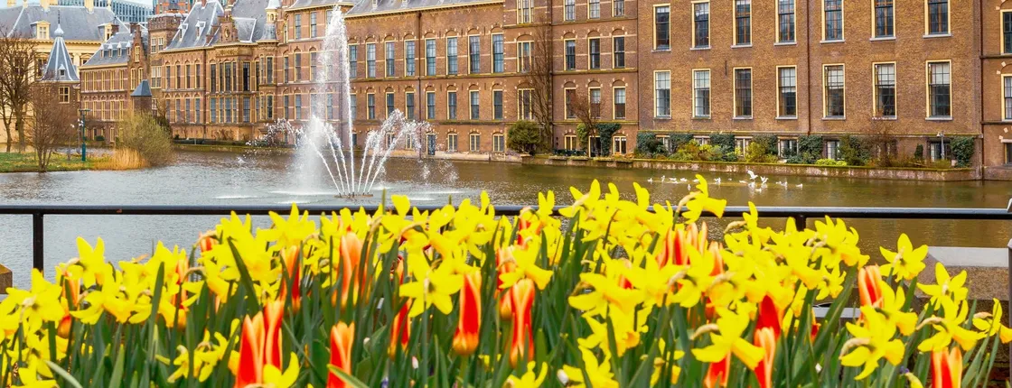 Behind the scenes of the royal city of Hague guided tour