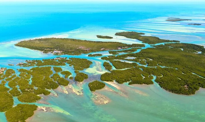 Six Fins Private Key West Eco Tour – Wildlife Refuge Adventure